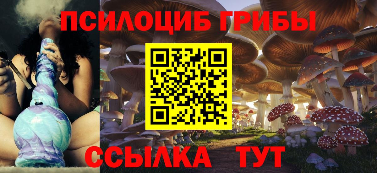 Кузнецк  Галлюциногенные грибы прущие грибы  Вход с VPN 