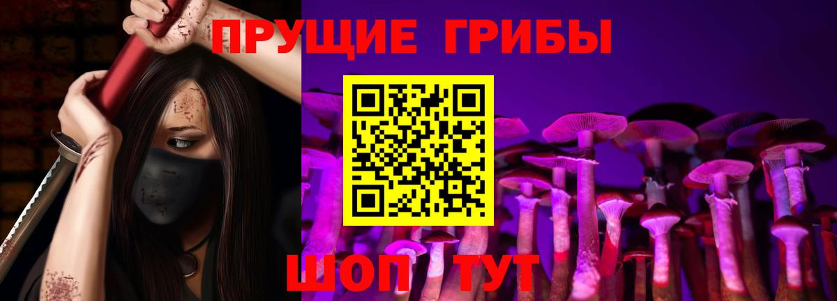 Псилоцибиновые грибы Psilocybe Кузнецк